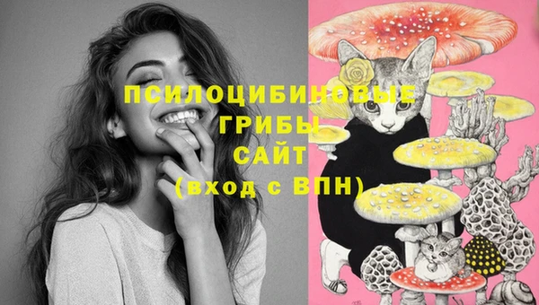 мяу мяу мука Вязьма