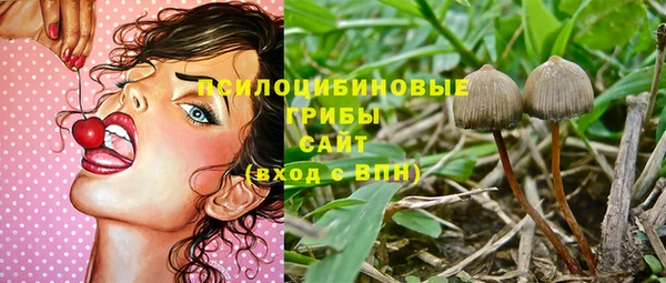 Альфа ПВП Вязники