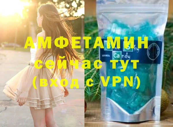 гашик Верея