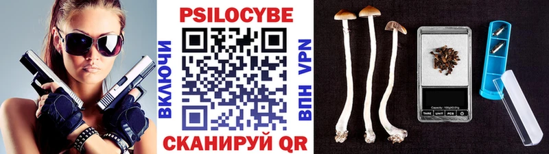 Галлюциногенные грибы Psilocybine cubensis  Зеленоградск 